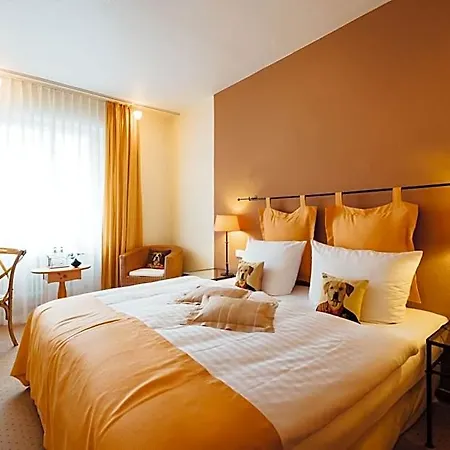 Hotel Zur Muehle 3*