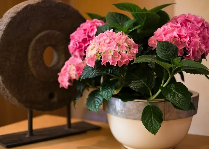 Zur Muehle 酒店 3*