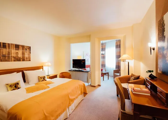 酒店 Zur Muehle 帕德博恩