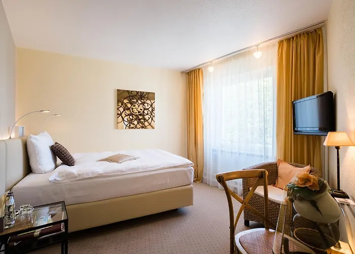 Zur Muehle 酒店 3*